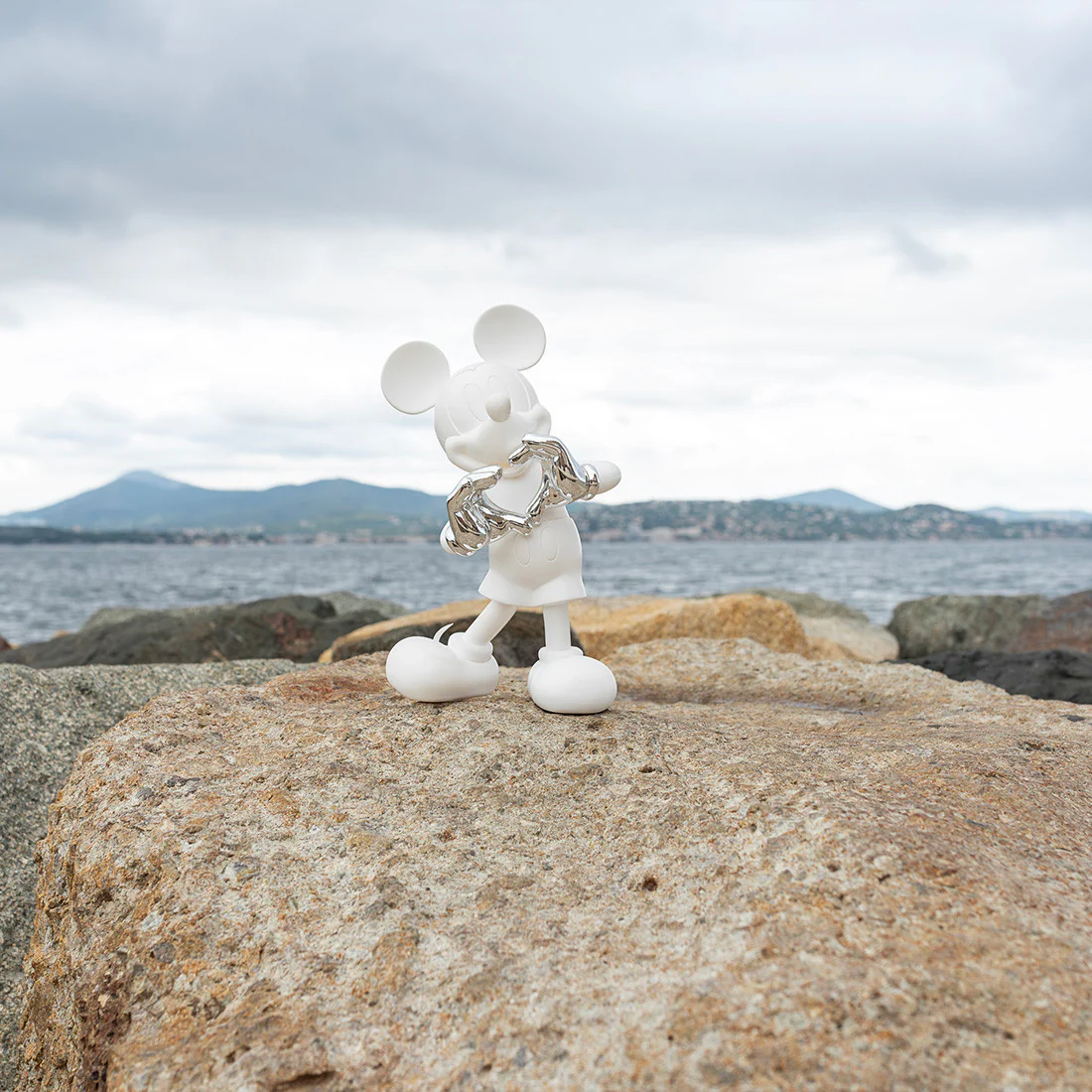 Immagine prodotto 4
